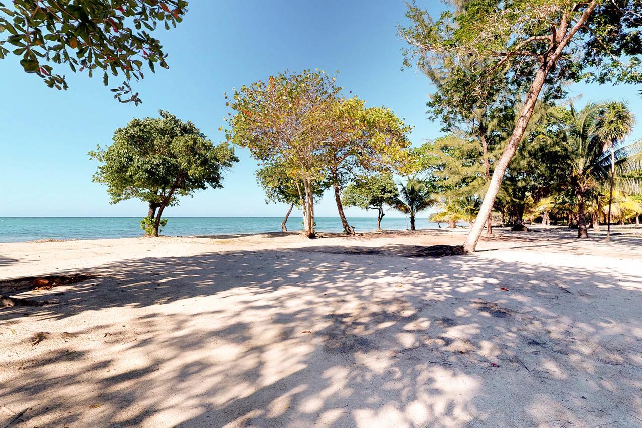 Private Beachfront Paradise Palmetto Bay Luaran gambar